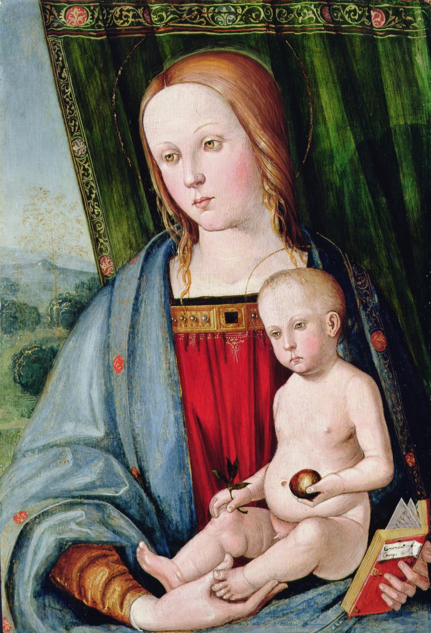 Szűz és gyermek, 1494 után (tempera olajmázzal a panelen) alkotó: Galeazzo Campi