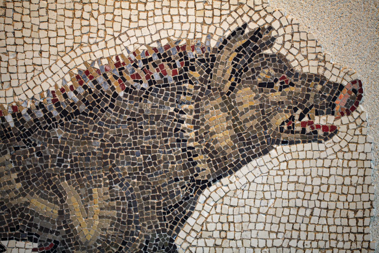 Római mozaik alkotó: Gallo-Roman