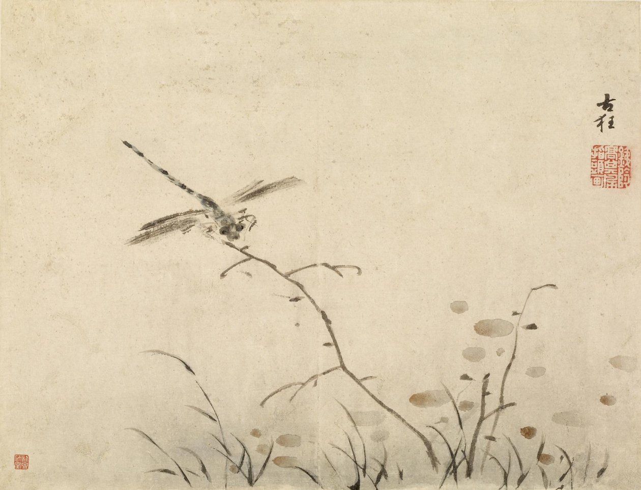 Szitakötő alkotó: Gao Qipei