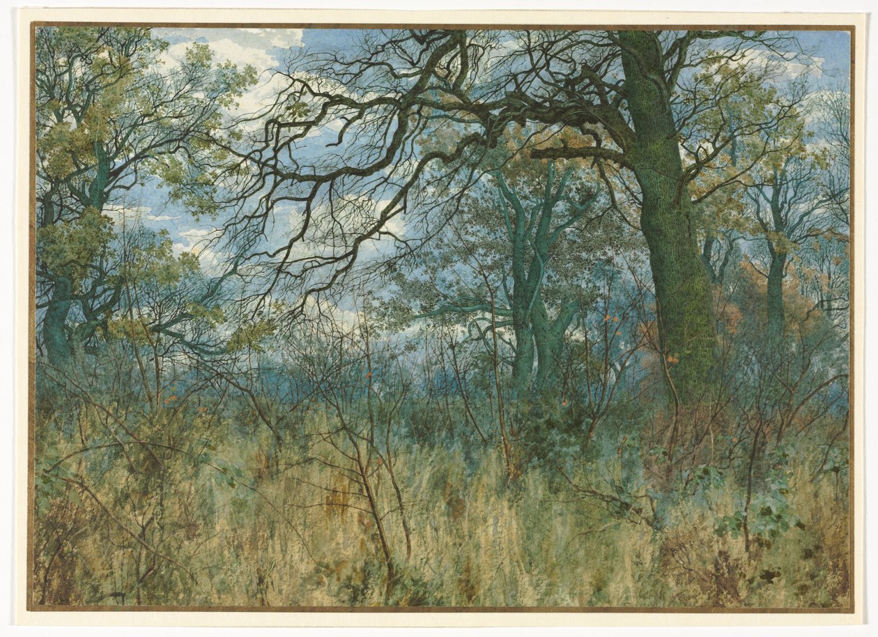 Fák és aljnövényzet alkotó: Garden William Fraser