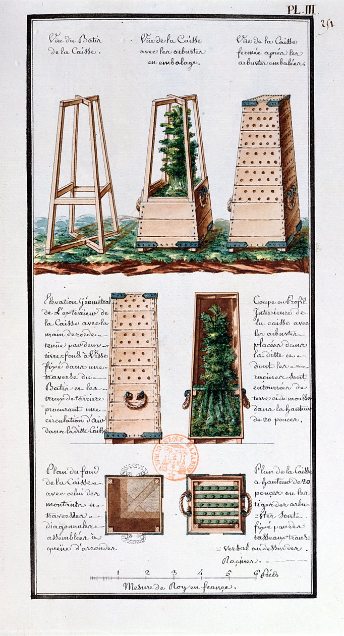 A cserjék és bokrok szállítására szolgáló speciális szekrény illusztrációja a művésznek Jean-Francois Gallup de la Perouse (1741-88) expedíciói során készített jegyzetfüzetéből (toll és tinta és wc papíron alkotó: Gaspard Duche de Vancy