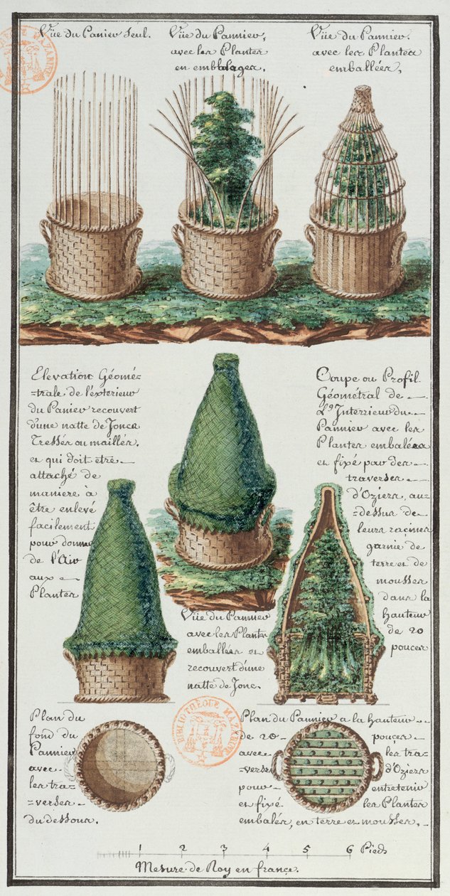 Illusztráció egy növények szállítására szolgáló fonott kosárról, a művész Jean-Francois Gallup de la Perouse (1741-88) expedíciói során készített jegyzetfüzetéből (toll és tinta, wc, papír). alkotó: Gaspard Duche de Vancy