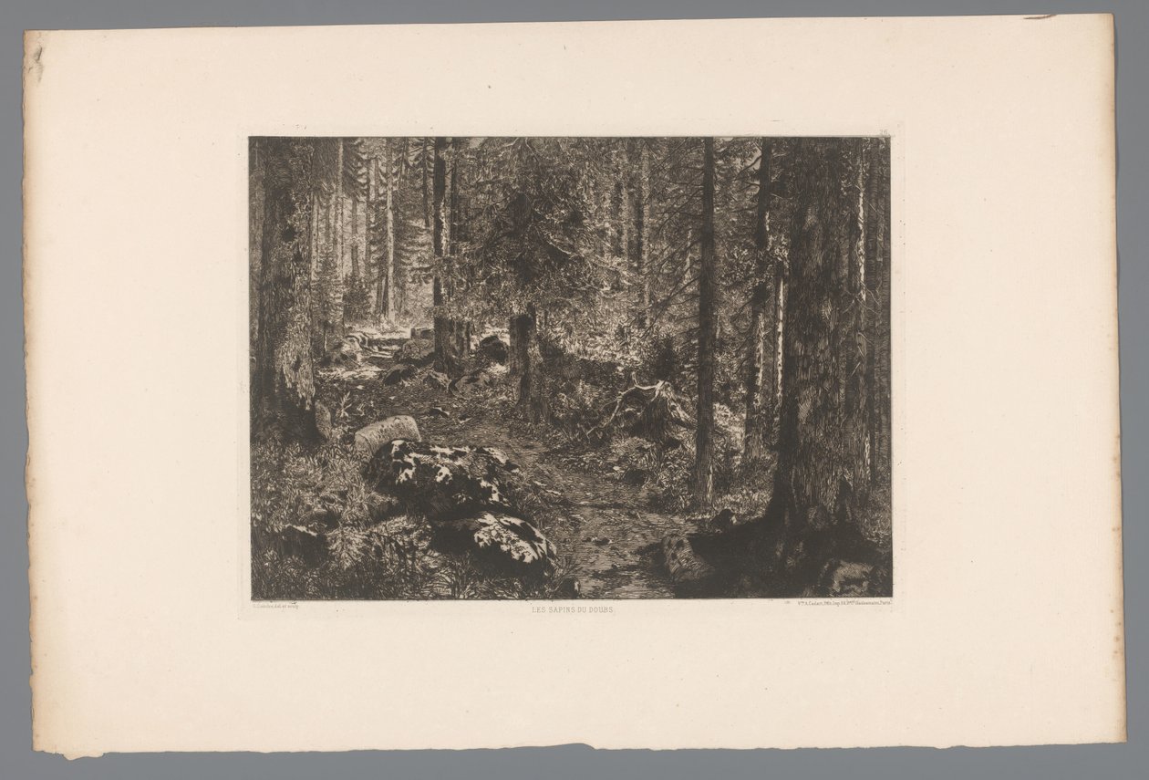 Boslandschap A kétek fenyőfái (cím a tárgyon) France etsen uit 1876 (sorozat címe) Rézkarc 1876-ban (sorozat címe) alkotó: Gaston Coindre