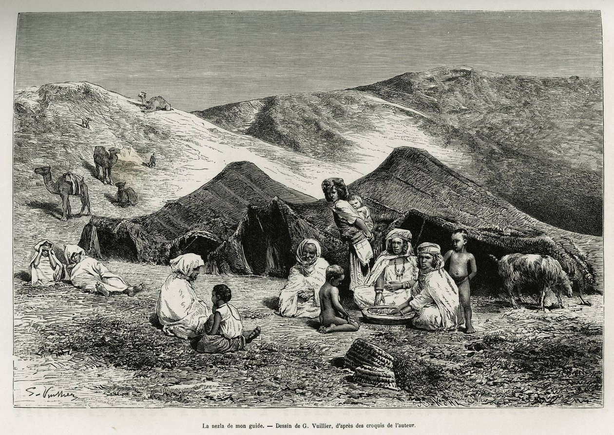 Vezetőm nezla (rokonja). G. Vuillier metszete az algériai Szahara illusztrálására, V. Largeau, 1874-1878, megjelent a Tour du monde-ban, Edouard Charton (1807-1890) irányításával alkotó: Gaston Vuillier