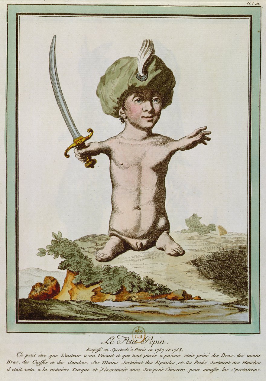 Petit Pepin, a Les Ecarts de la Nature-ből, Párizs, 1775 alkotó: Genevieve Regnault de Nangis