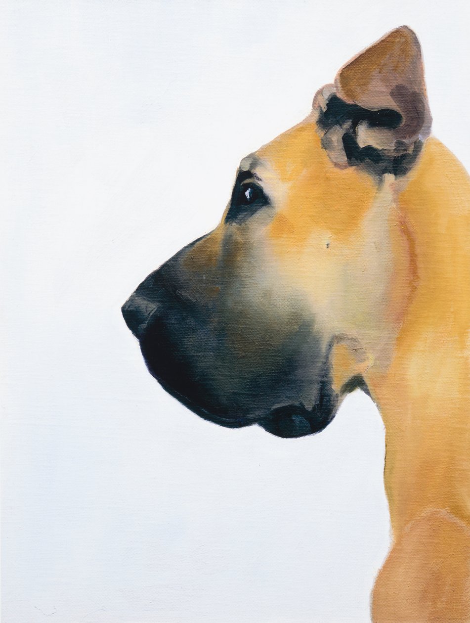 Dán dog, 2016 (olaj, tábla) alkotó: Genevieve French