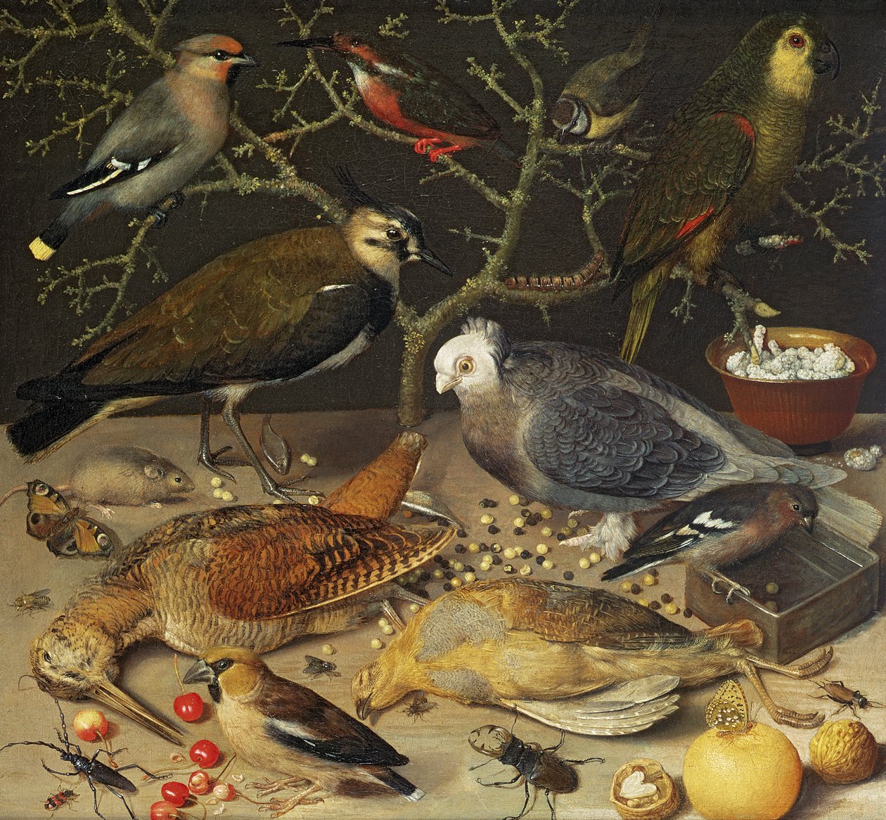 Madarak és rovarok csendélete, 1637 alkotó: Georg Flegel