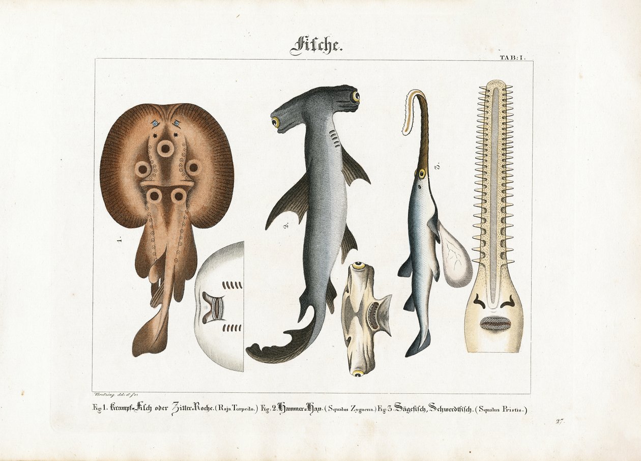  alkotó: Georg Bretzing