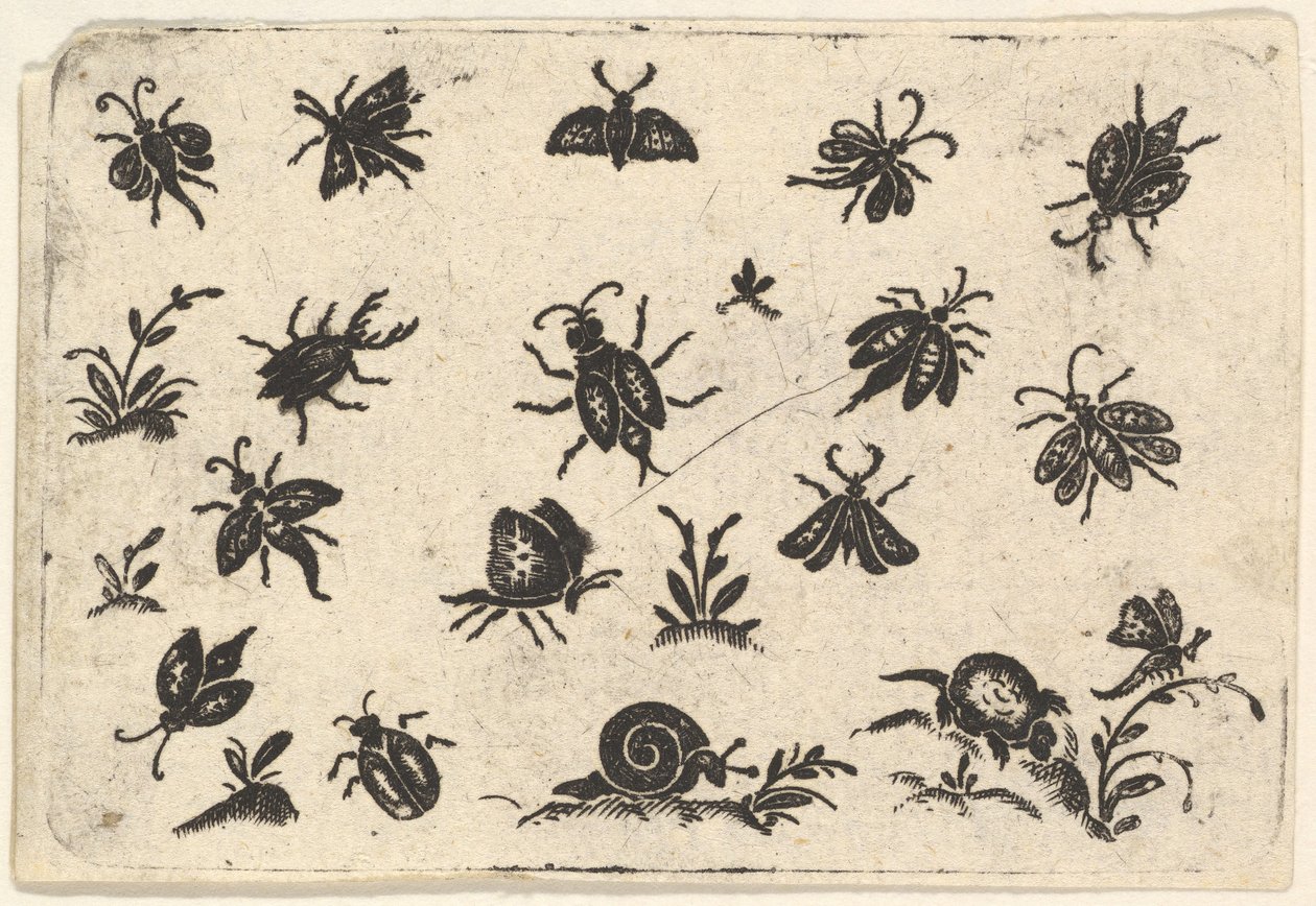 Rovarok és növények apró motívumai, 1596. alkotó: Georg Herman