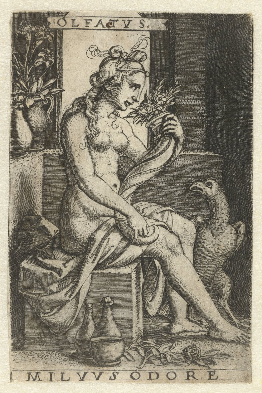 Illat (Olfactus) Olfatvs milvvs szag (cím a tárgyon) Five Senses (sorozat címe) alkotó: Georg Pencz