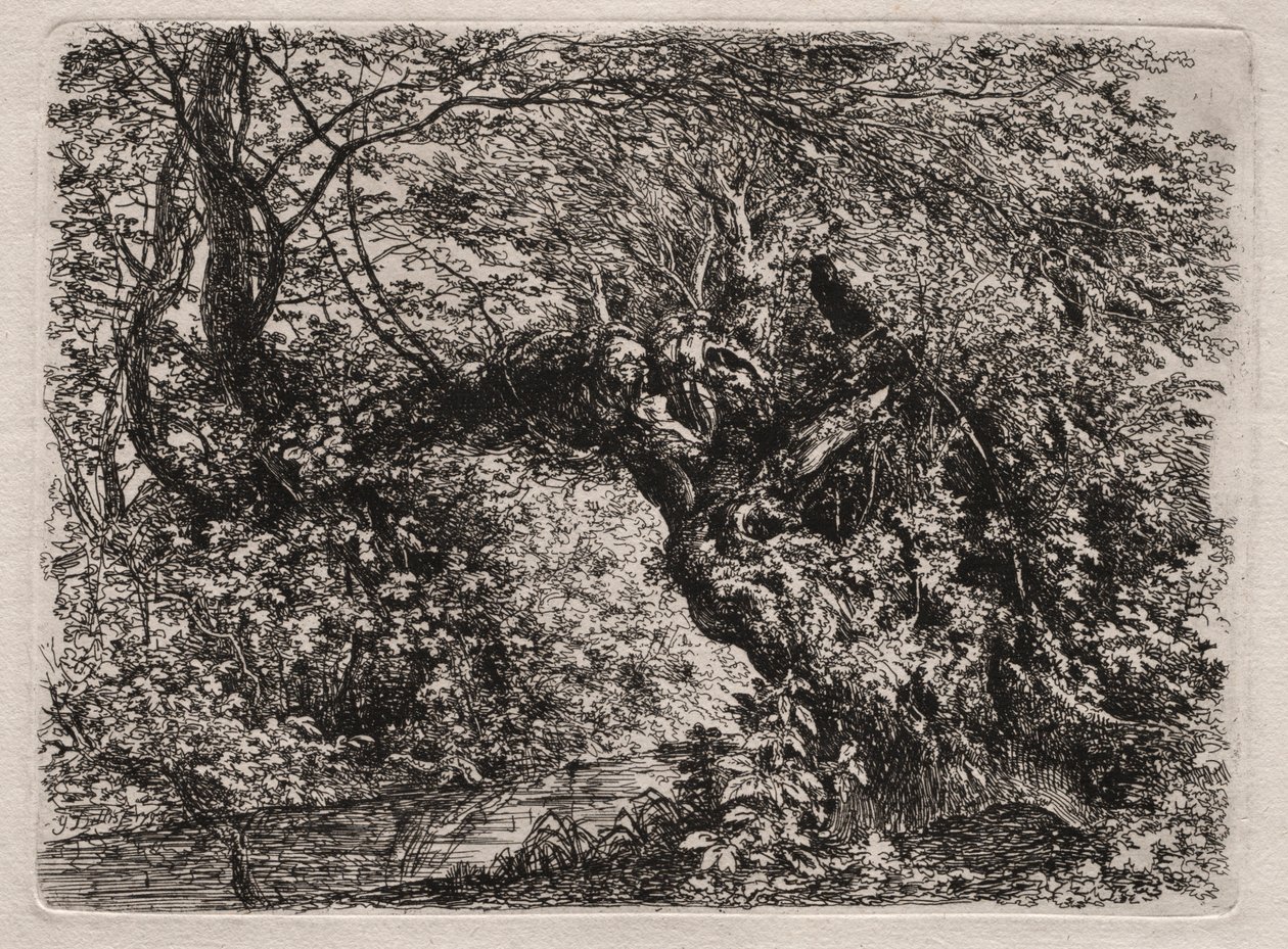 Az öreg fűz egy pataknál, 1794. alkotó: Georg von Dillis