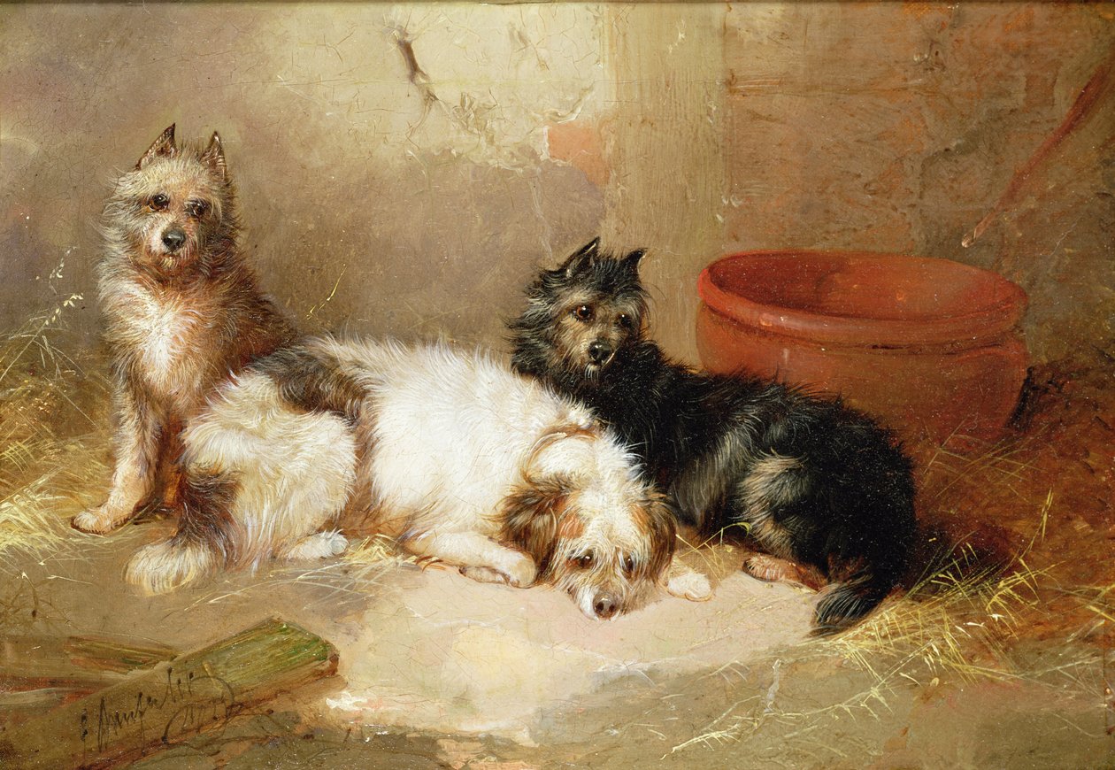 Három terrier alkotó: George Armfield