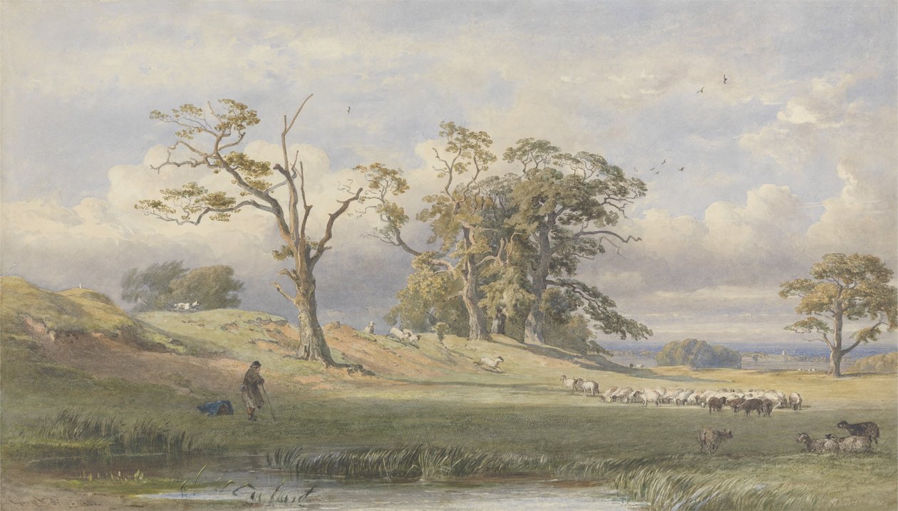 Régi brit tábor a Bulstrode Parkban, 1860 (wc grafit felett, papíron) alkotó: George Arthur Fripp