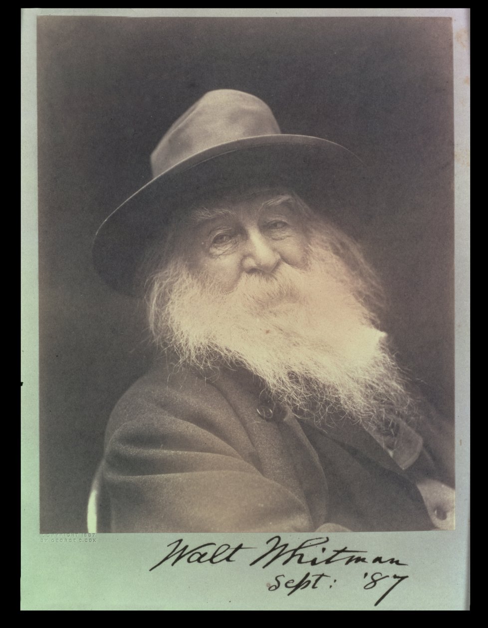 "A nevető filozófus", Walt Whitman (1819-91) portréja 1887 szeptembere alkotó: George C. Cox