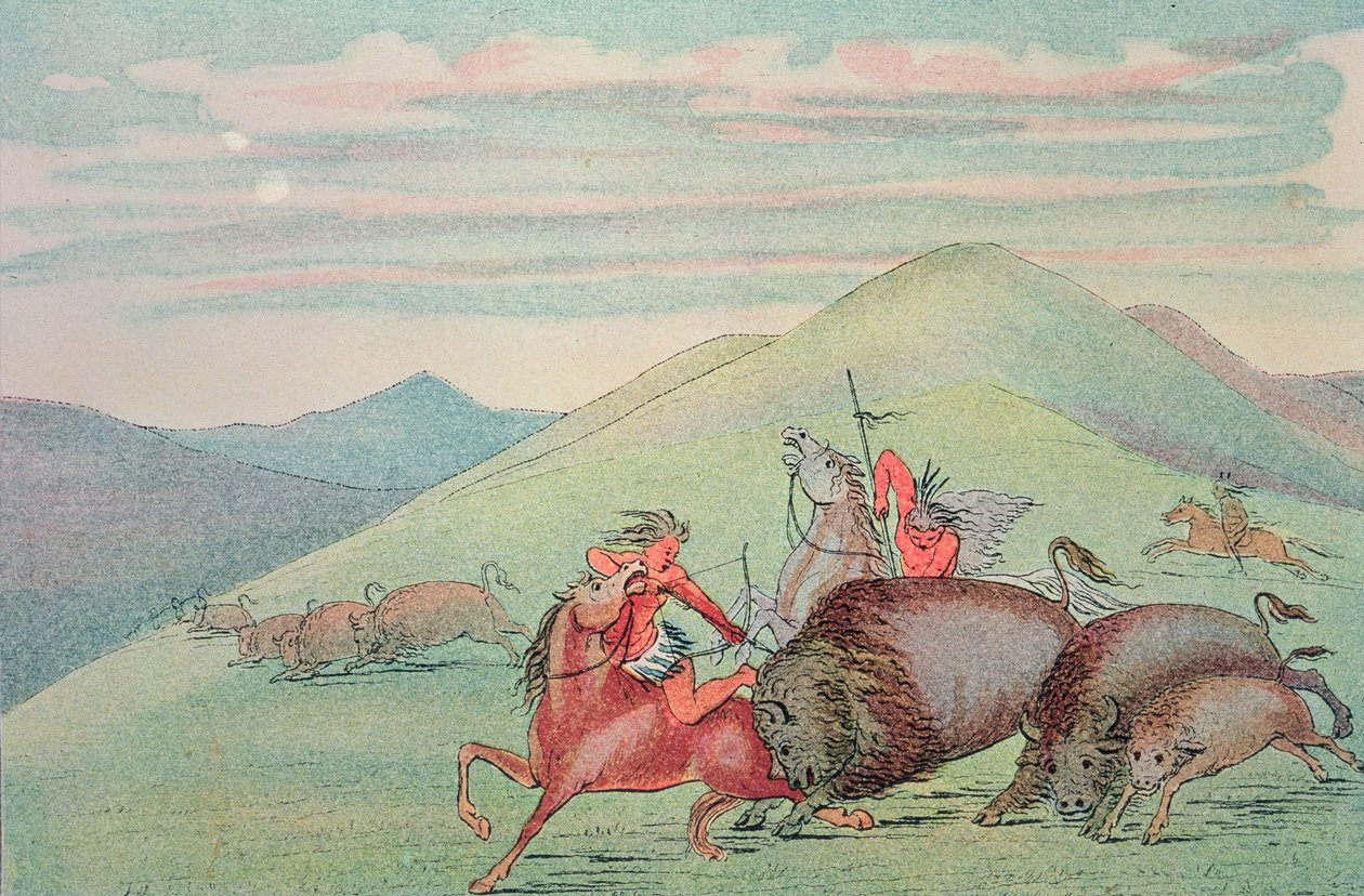 Borjút és anyát védő bivalybika támadás alatt alkotó: George Catlin