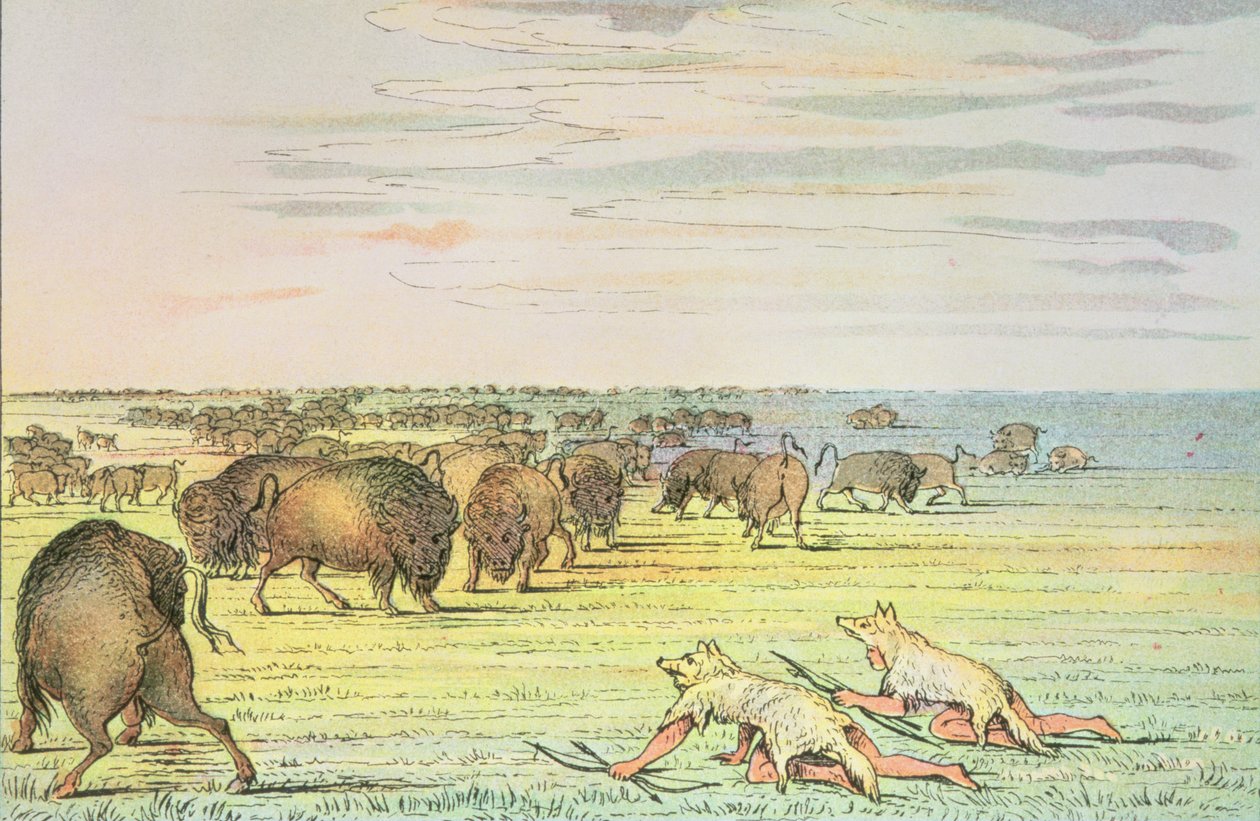 Lopás bivaly alkotó: George Catlin