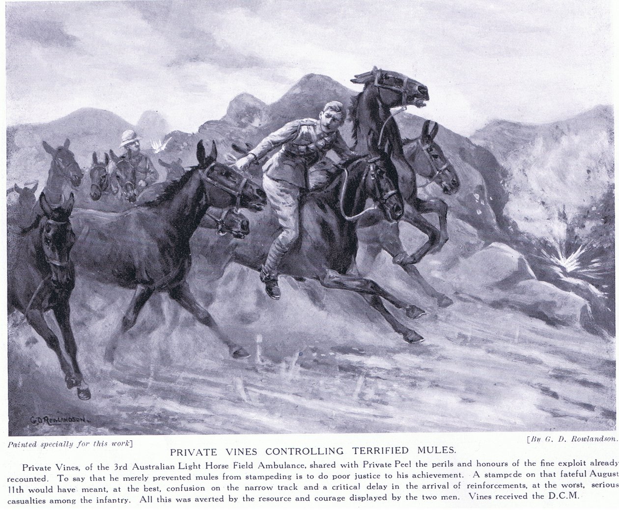 A Private Vines 1915 augusztusában megkapta a DCM-et a rémült öszvérek megfékezéséért alkotó: George Derville Rowlandson
