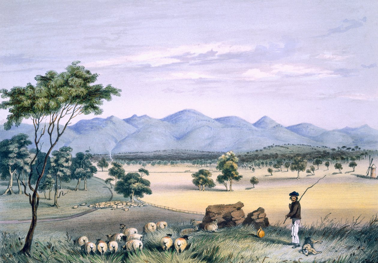 Lynedoch-völgy a Barossa-hegység felé néz, a „South Australia Illustrated”-ből, 1847-ben (kézzel színezett metszet) alkotó: George French Angas