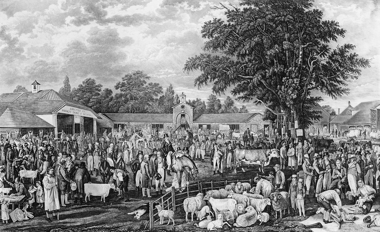 Woburn Sheepshearing, Thomas Morris metszet, 1811 alkotó: George Garrard