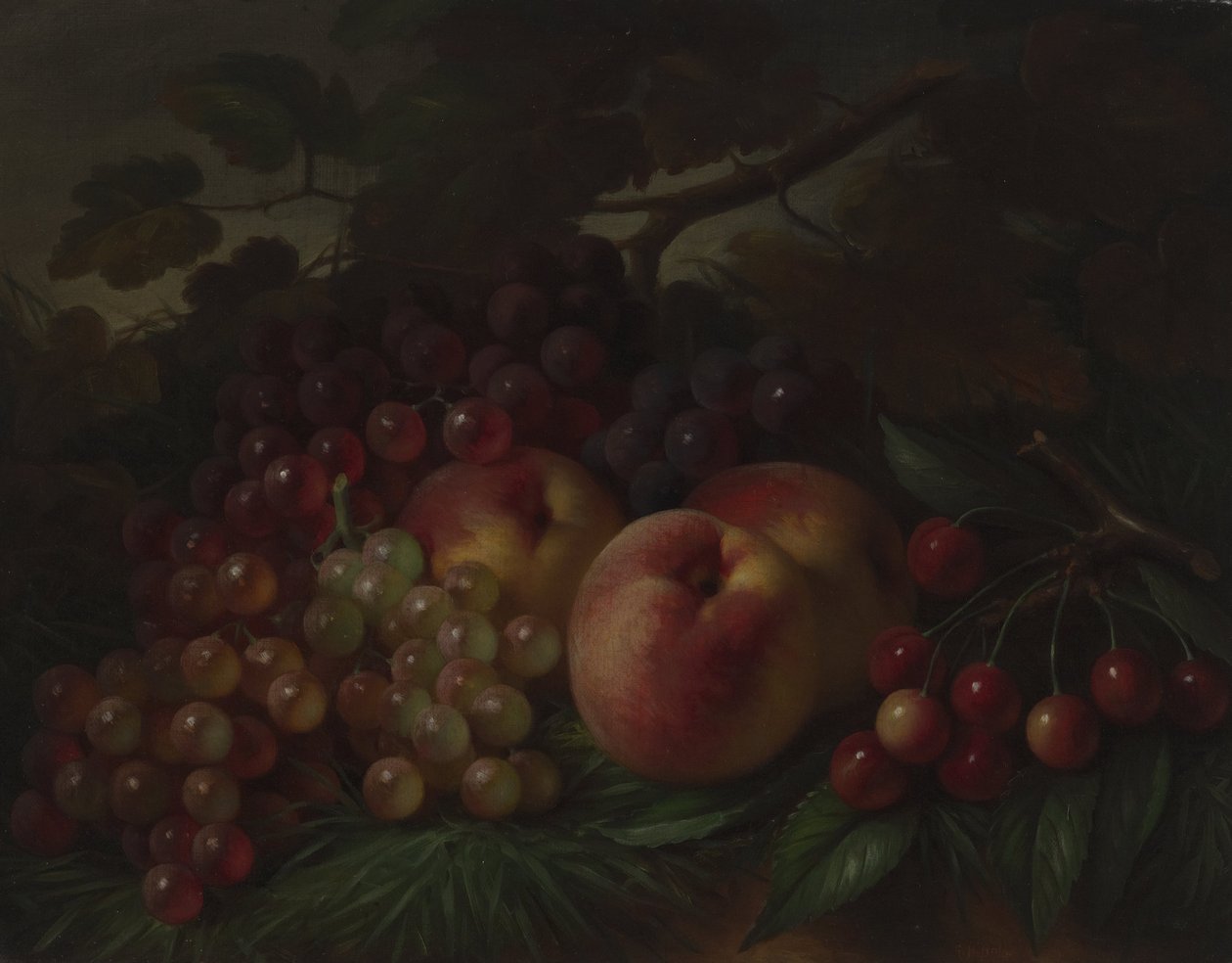 Őszibarack, szőlő és cseresznye alkotó: George Henry Hall