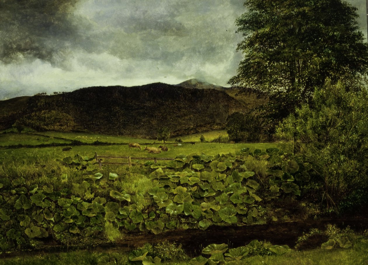 Wallow Crag, Cumberland alkotó: George Stanfield Walters