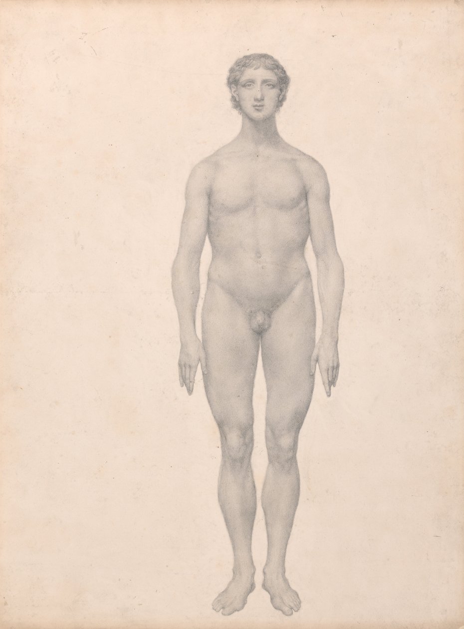 Összehasonlító anatómiai expozíció az emberi test felépítéséről egy tigris és egy társa ... alkotó: George Stubbs
