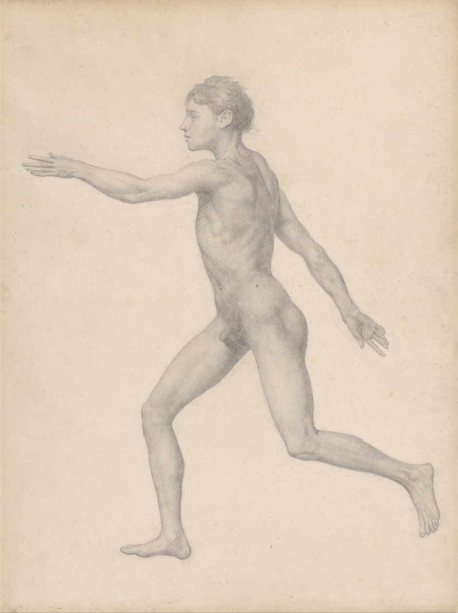 Az emberi test felépítésének összehasonlító anatómiai bemutatása a tigris és a ko... alkotó: George Stubbs