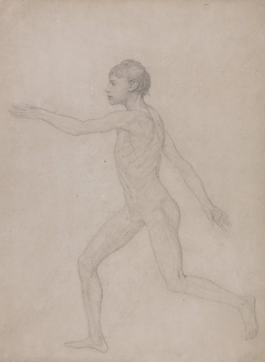 Összehasonlító anatómiai expozíció az emberi test felépítéséről egy tigris és egy társa ... alkotó: George Stubbs