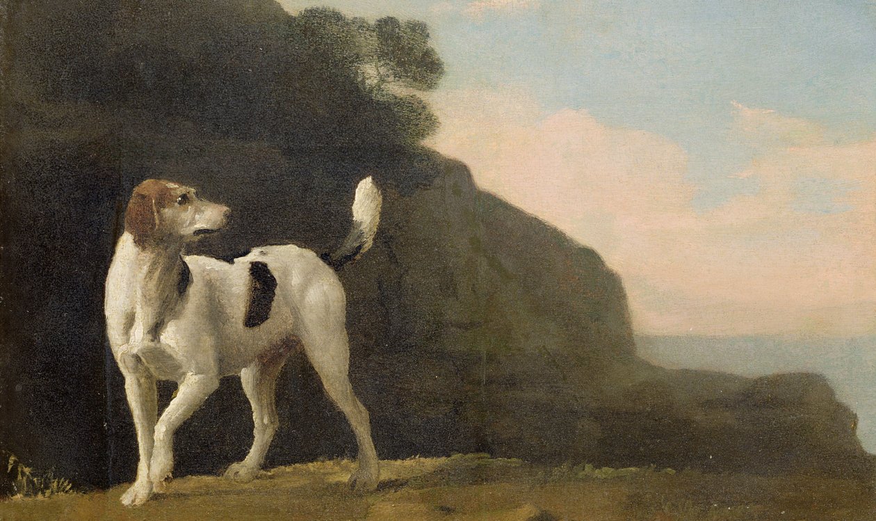 Egy rókakutya, 1760 körül (olaj, papírra fektetve) alkotó: George Stubbs