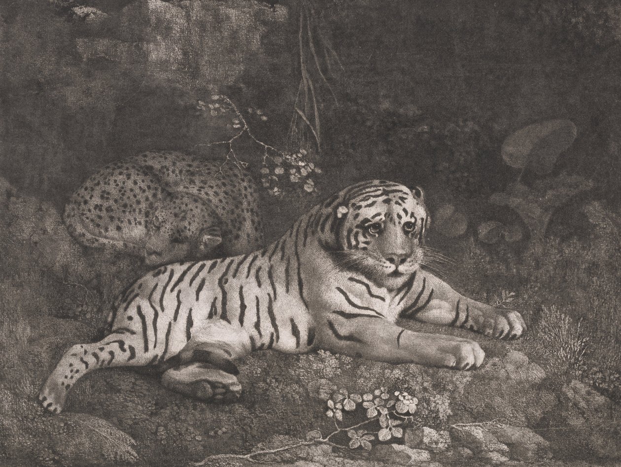 Egy tigris és egy alvó leopárd alkotó: George Stubbs