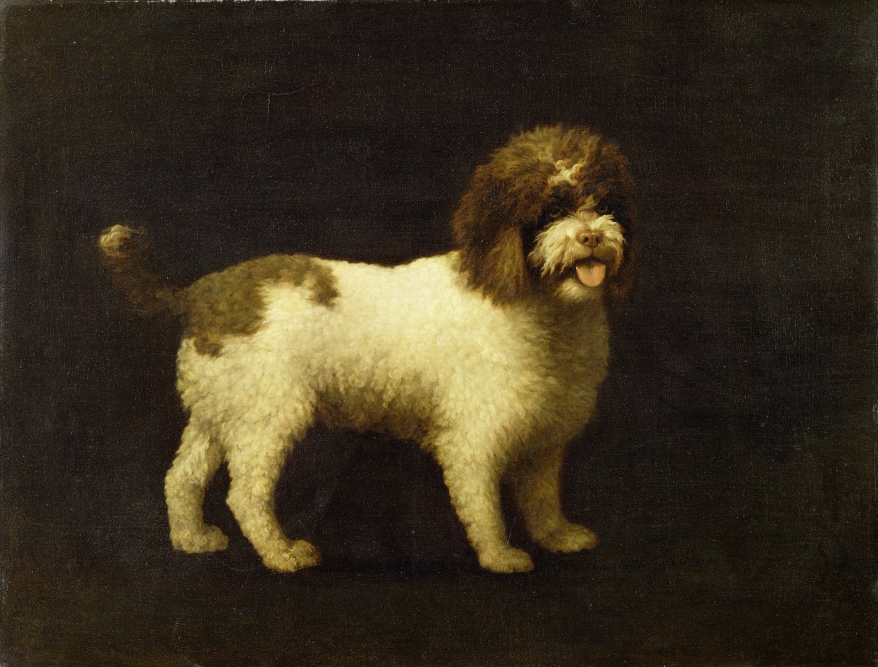 Vízispániel, 1769 alkotó: George Stubbs