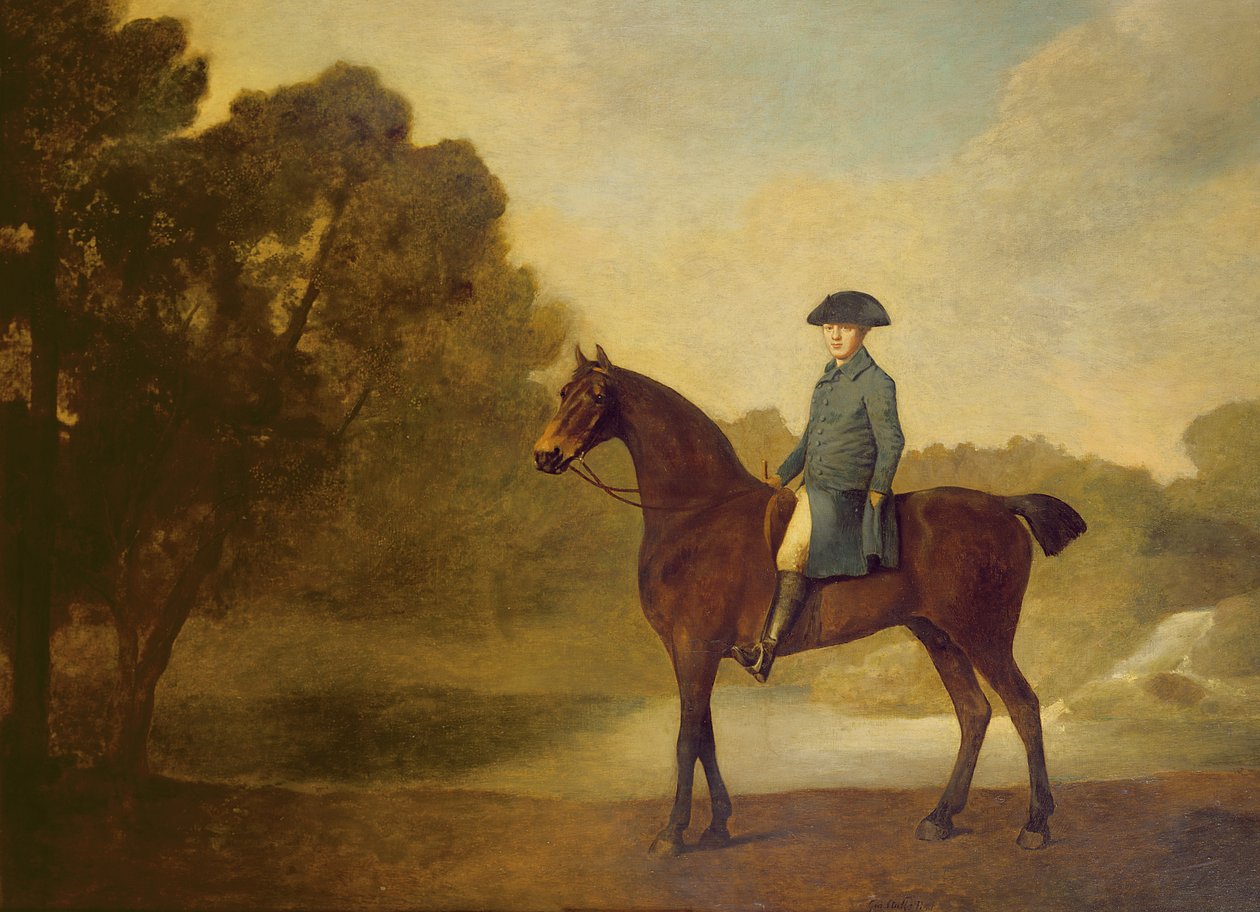 Egy úriember egy öbölvadászon, 1771 alkotó: George Stubbs