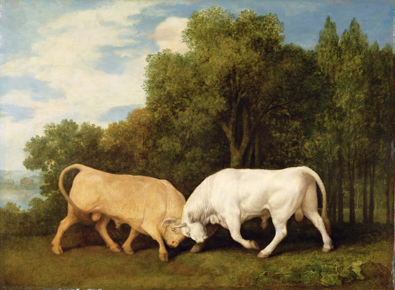Bikaviadal, 1786 alkotó: George Stubbs