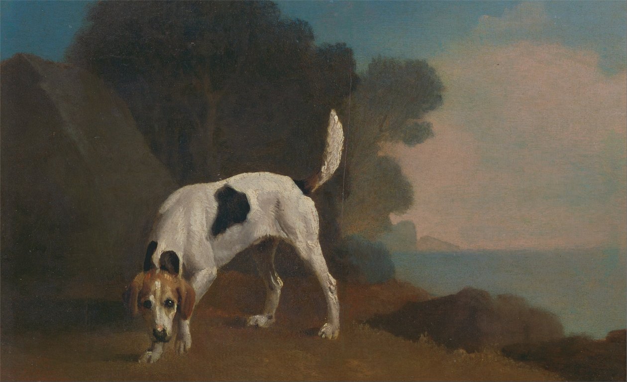 Kopó alkotó: George Stubbs