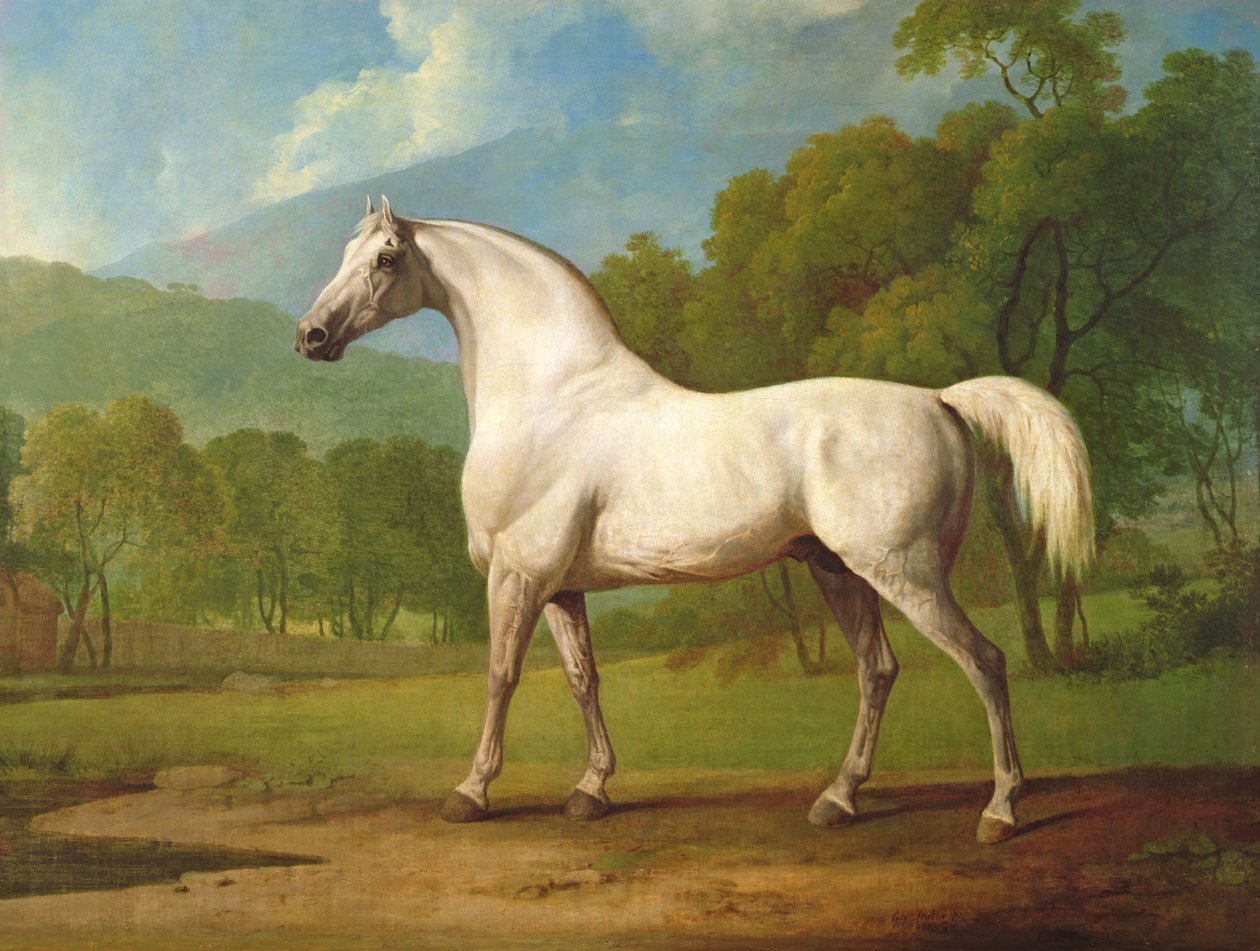 Mambrino, 1790 körül alkotó: George Stubbs