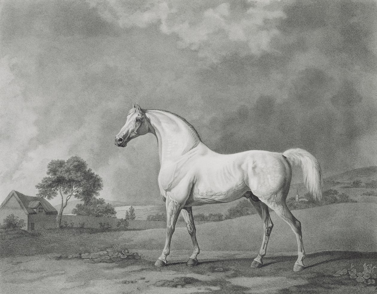 Mambrino, vésette George Townley Stubbs (1756-1815) kocsma. 1794 alkotó: George Stubbs
