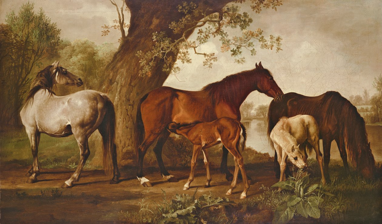 Kanca és csikók alkotó: George Stubbs