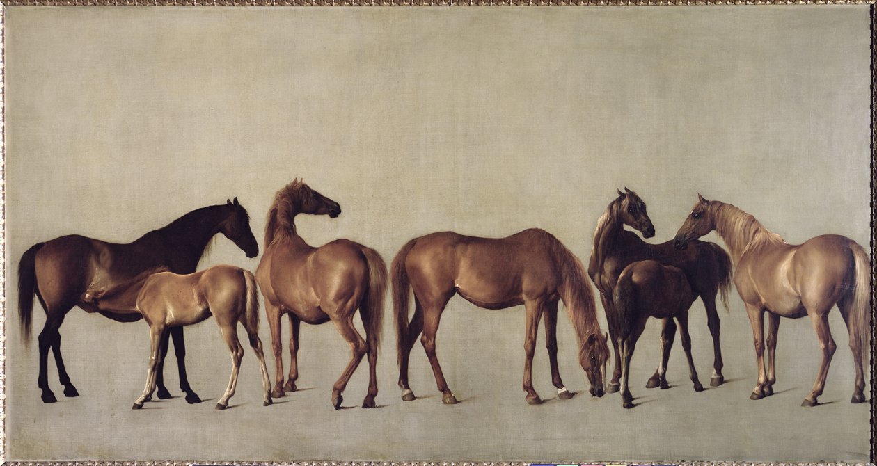 Kancák és csikók háttér nélkül, 1762 körül alkotó: George Stubbs