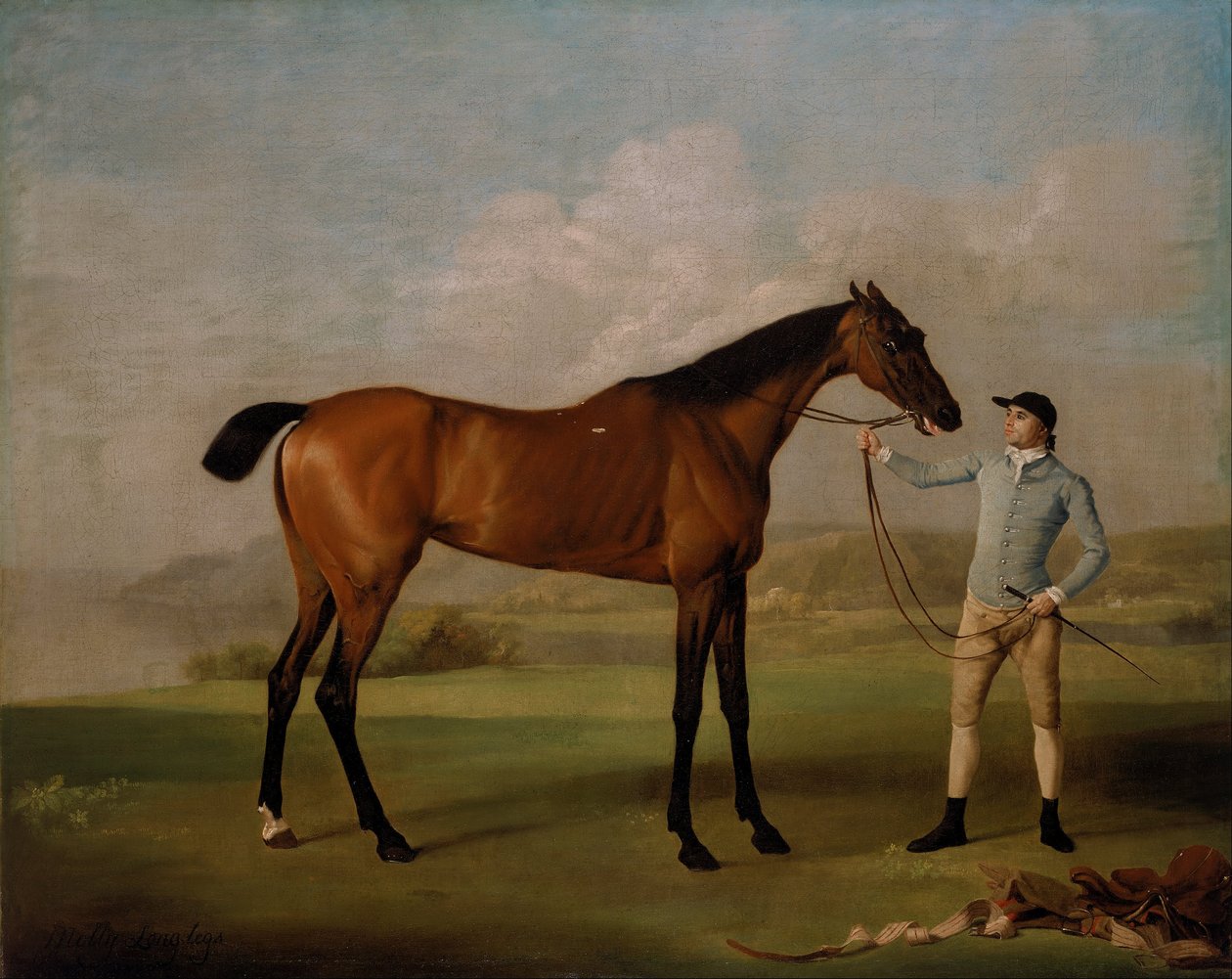 Molly Long-legs with Jockey alkotó: George Stubbs