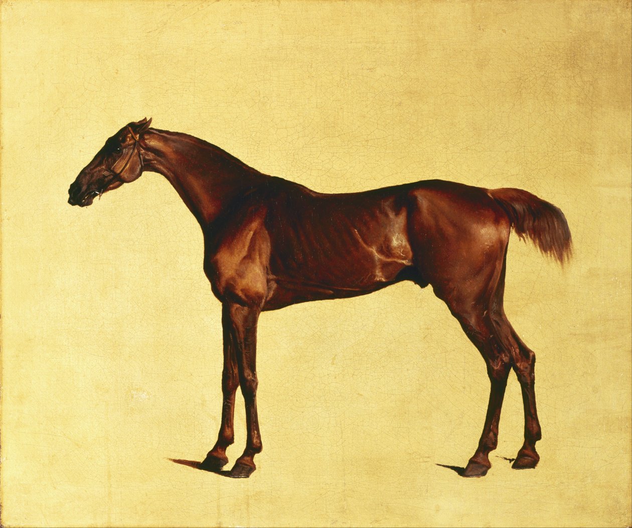 Pangloss alkotó: George Stubbs