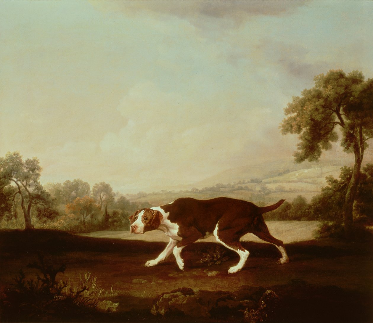 Spanyol mutató alkotó: George Stubbs