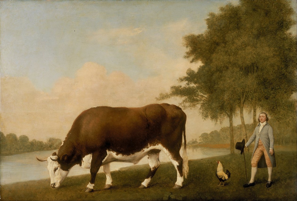 A Lincolnshire-i ökör alkotó: George Stubbs