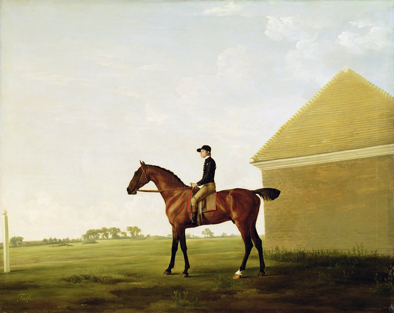 Turf, 1765 körül (lásd: 152743) alkotó: George Stubbs
