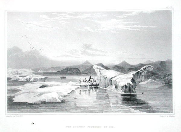 A jég által szorongatott delfin, Sir John Franklin (1786-1847) "Narrative of a Journey to the Shores of the Polar Sea in the Years 1819-22" című művéből, melyet Edward Finden (1791-1857) metszett, megjelent 1823-28-ban (színes metszet). alkotó: George (after) Back