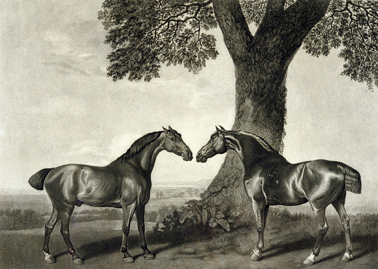 Két vadász, metszett G.T. Stubbs (bap.1748-c.1815) (litho) (lásd még: 266802) alkotó: George (after) Stubbs