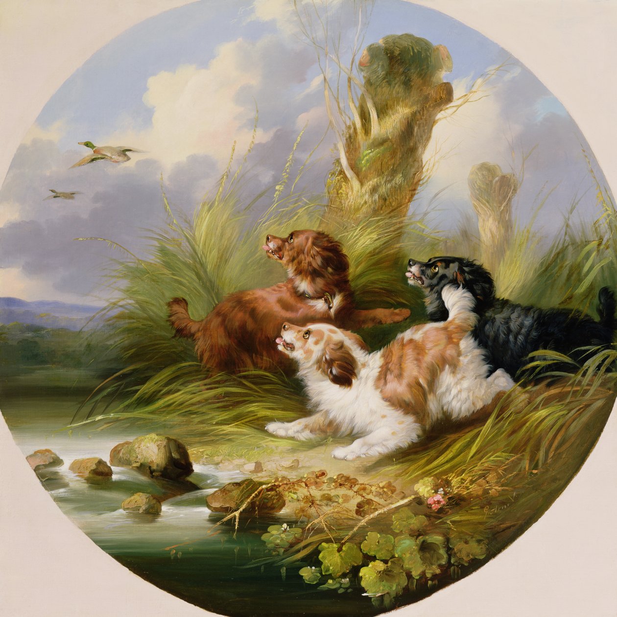 Three Spaniel Flushing Mallard (olaj, vászon) alkotó: George Armfield