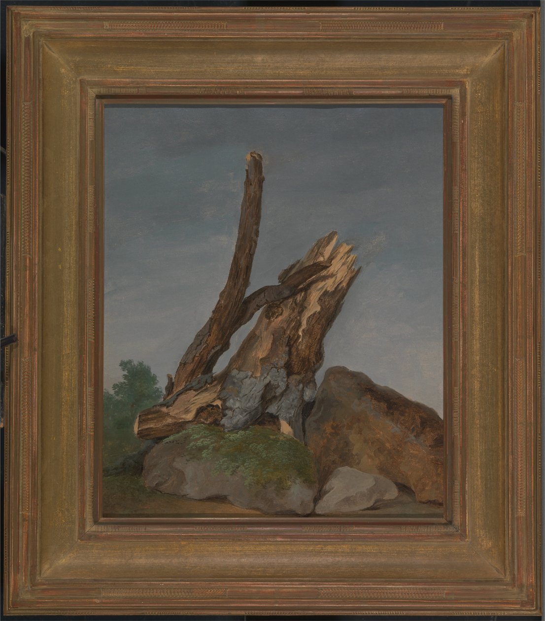 Sziklák és ágak tanulmányozása alkotó: George Augustus Wallis