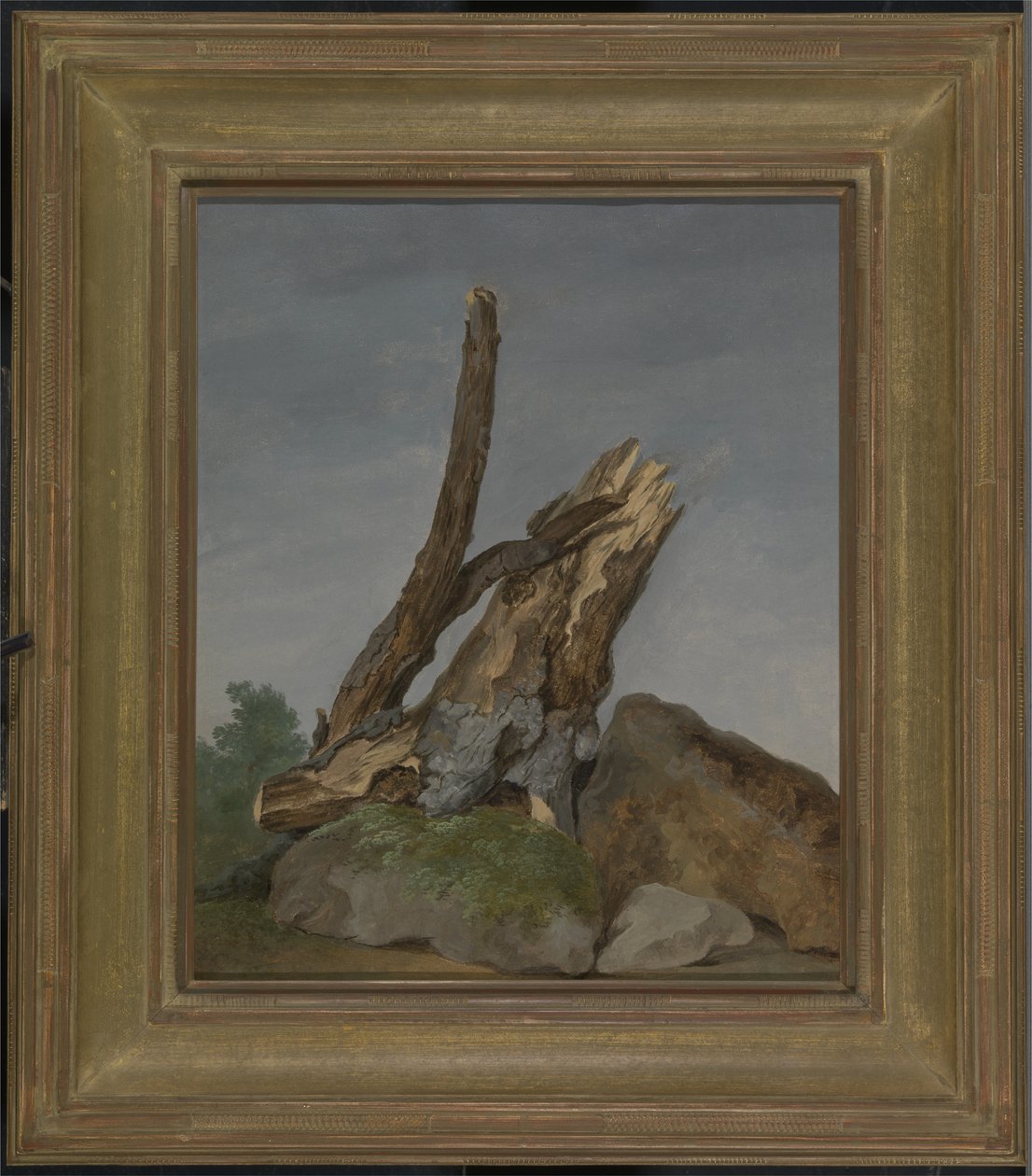 Study of Rocks and Branches, 1795 körül (olaj, papír) alkotó: George Augustus Wallis