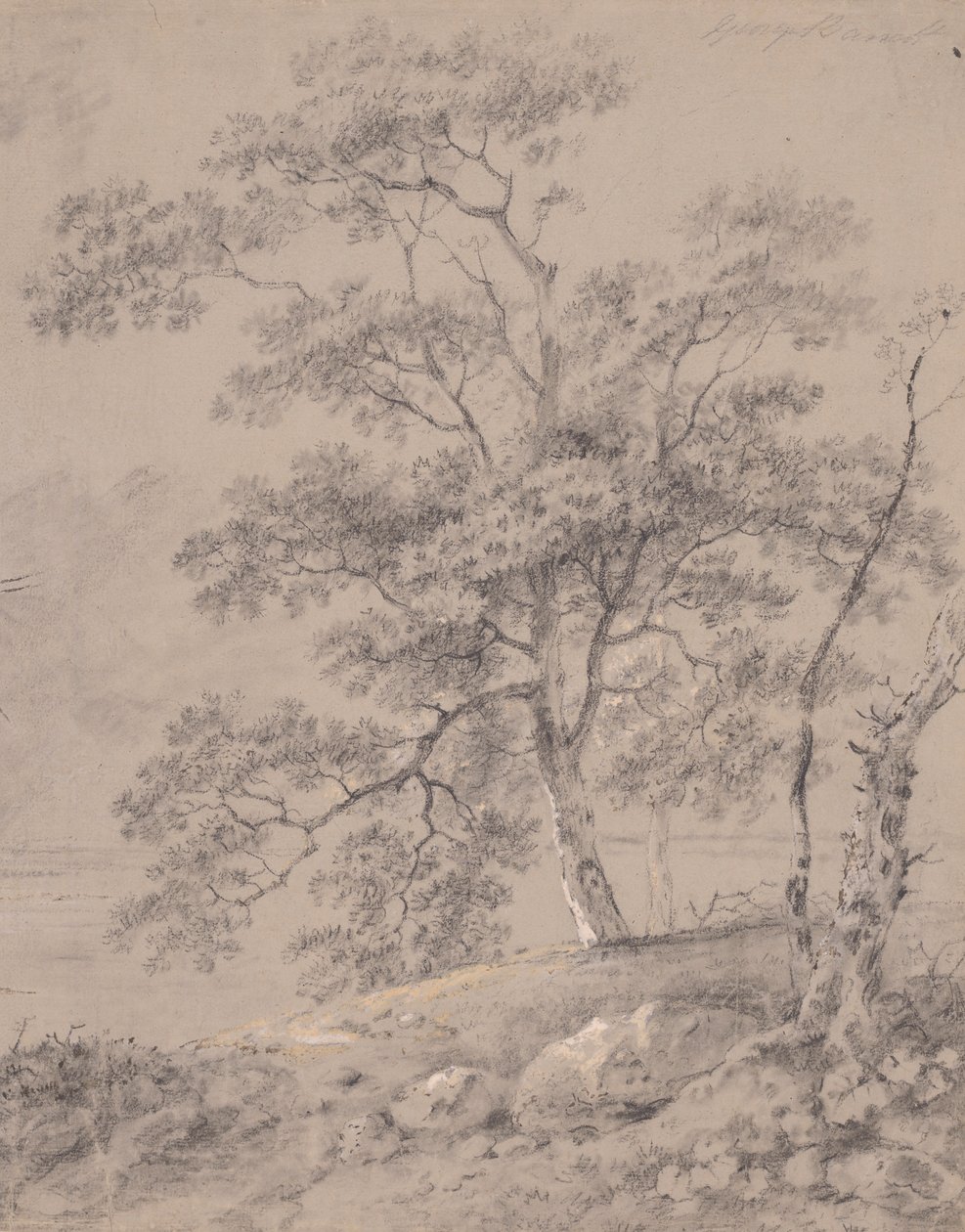 Fa tanulmány alkotó: George Barret