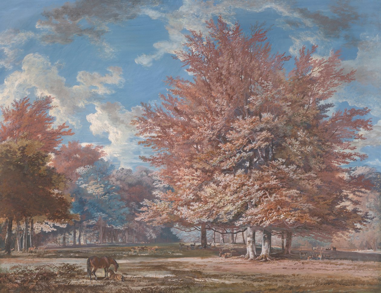 Kilátás egy parkban alkotó: George Barret